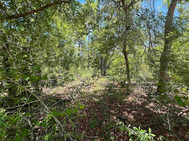 Tamarac Rd, Marianna FL, 32448 land for sale