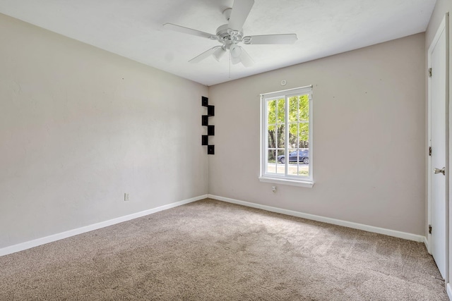 2164 Portsmouth Cir, Tallahassee, FL 32311 - photo 13