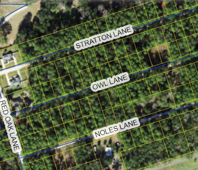 XX Owl Lane, Crawfordville, FL 32327