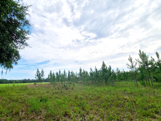 Listing photo 3 for 21.24ACRES NE 247th Ave, Cross City FL 32680