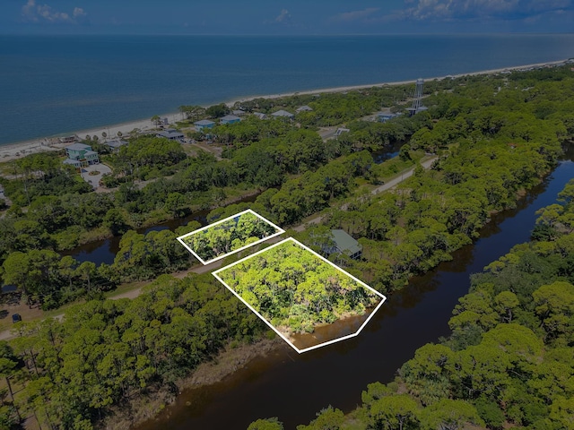 Harry Morrison Island Dr, Alligator Point, FL 32346 - photo 4