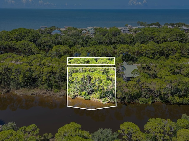 Harry Morrison Island Dr, Alligator Point, FL 32346 - photo 2