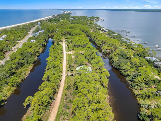 Harry Morrison Island Dr, Alligator Point, FL 32346 - photo 9