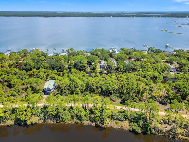 Harry Morrison Island Dr, Alligator Point, FL 32346 - photo 8