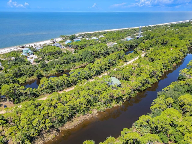 Harry Morrison Island Dr, Alligator Point, FL 32346 - photo 3