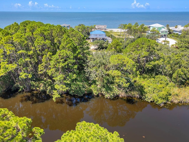 Harry Morrison Island Dr, Alligator Point, FL 32346 - photo 5