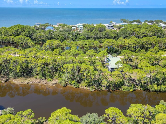 Harry Morrison Island Dr, Alligator Point, FL 32346 - photo 1