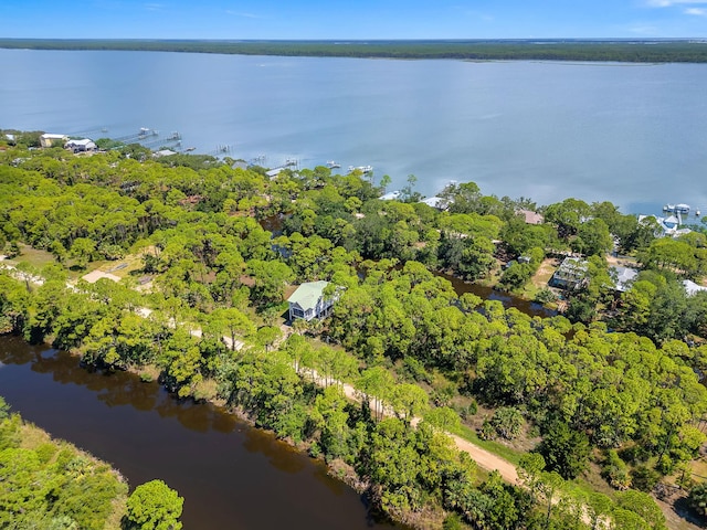 Harry Morrison Island Dr, Alligator Point, FL 32346 - photo 7