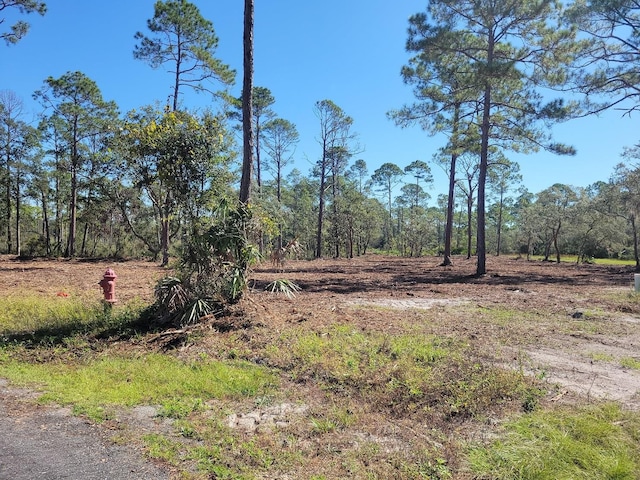 Listing photo 3 for LOT8 Ramsey Way, Ochlockonee Bay FL 32346