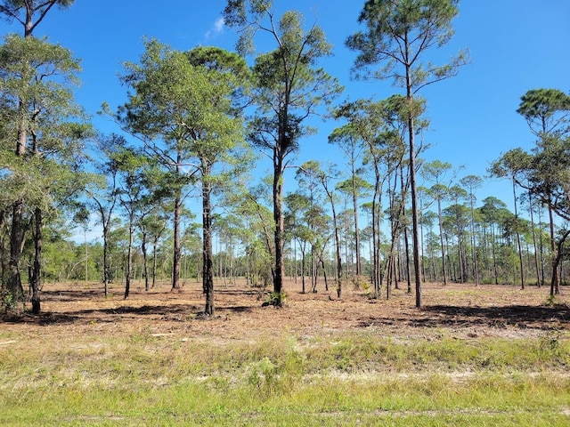 LOT8 Ramsey Way, Ochlockonee Bay FL, 32346 land for sale