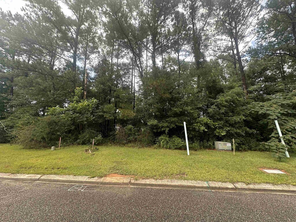 240 Tranquility Ln, Havana, FL 32333 - photo 1