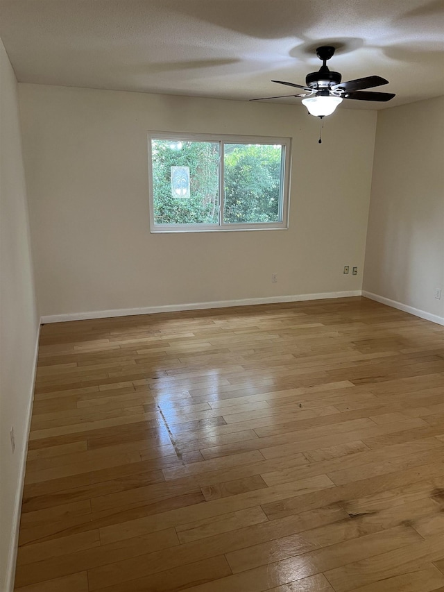1233 Talbot Ave, Tallahassee, FL 32308 - photo 11