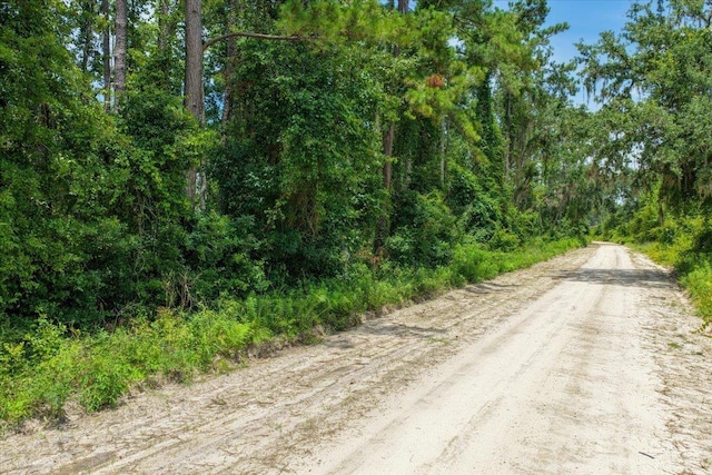 VACANT NE Bayberry St, Madison, FL 32340 - photo 2