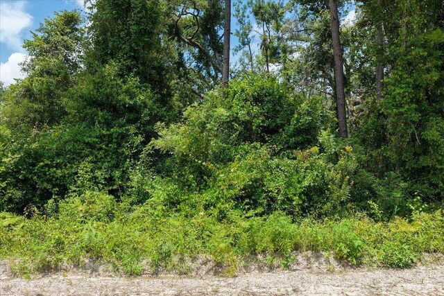 VACANT NE Bayberry St, Madison, FL 32340 - photo 6