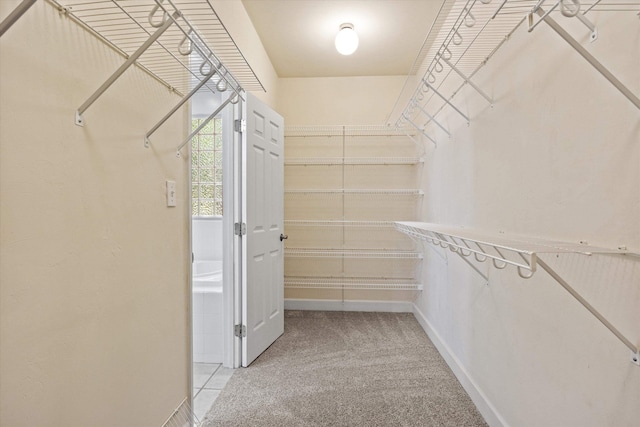 1652 Eagles Watch Way, Tallahassee, FL 32312 - spacious closet featuring light carpet