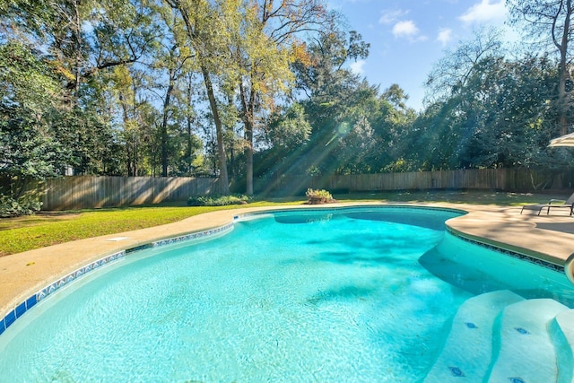 view of swimming pool with a patio area