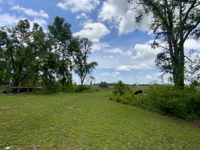 5581 S Sr 53, Madison, FL 32340 - photo 10