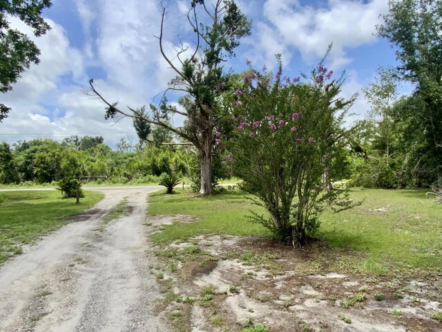 5581 S Sr 53, Madison, FL 32340 - photo 7