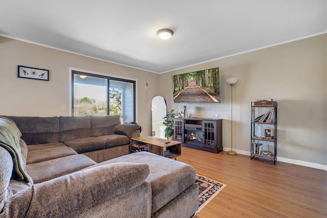 living room with hardwood / wood-style flooring and crown molding