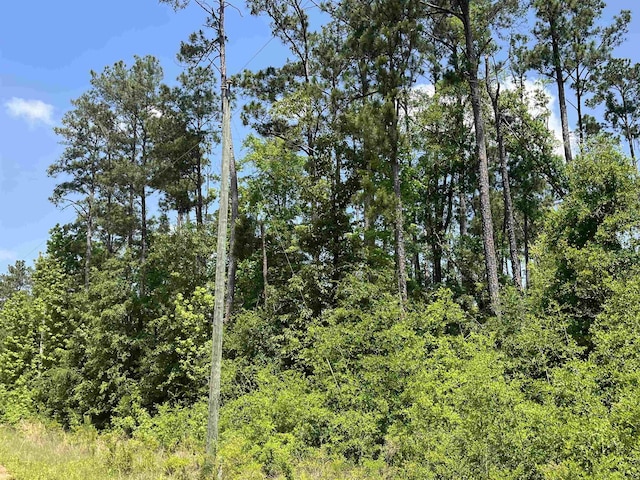 TBD Grand Quiviera Circle, Alford, FL 32420 - photo 4