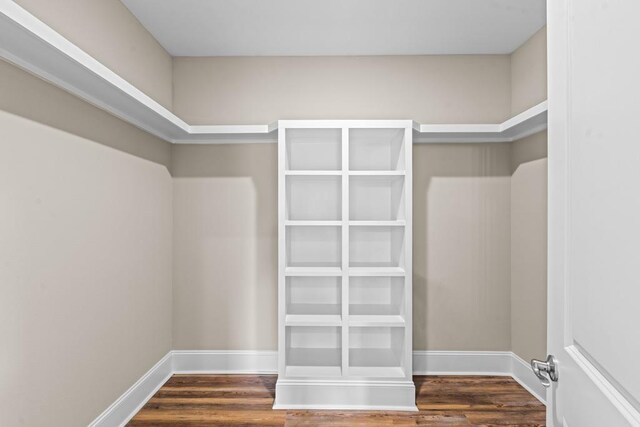 spacious closet with dark wood-type flooring