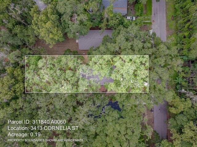 3413 Cornelia St, Tallahassee, FL 32305 - photo 40