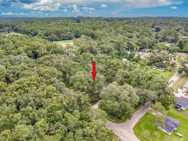 3413 Cornelia St, Tallahassee, FL 32305 - photo 38