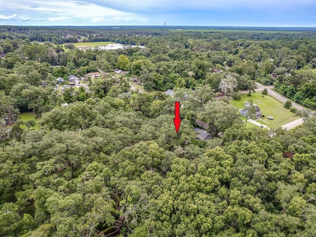 3413 Cornelia St, Tallahassee, FL 32305 - photo 39