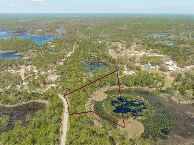 LOT25 Pelican Way, Panacea, FL 32346 - photo 6