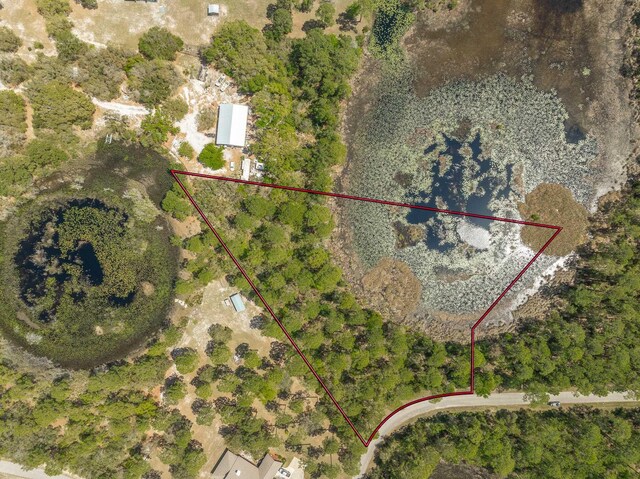 LOT25 Pelican Way, Panacea, FL 32346 - photo 4