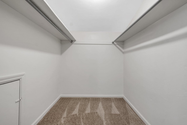 5804 Old Forge Ct, Tallahassee, FL 32317 - walk in closet featuring carpet flooring