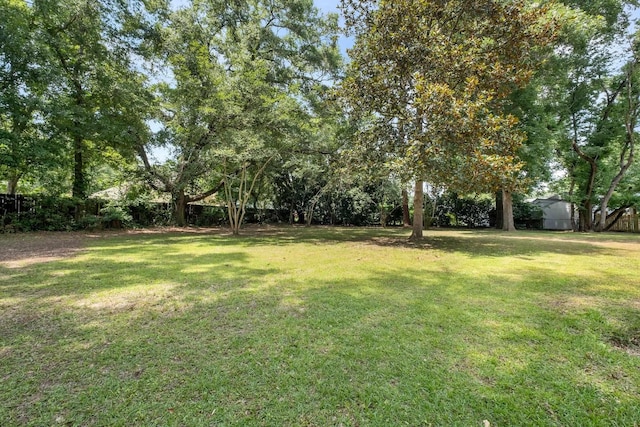5804 Old Forge Ct, Tallahassee, FL 32317 - view of yard