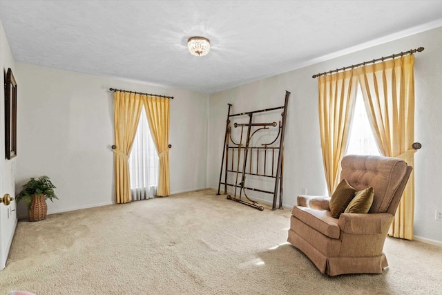 living area with carpet floors