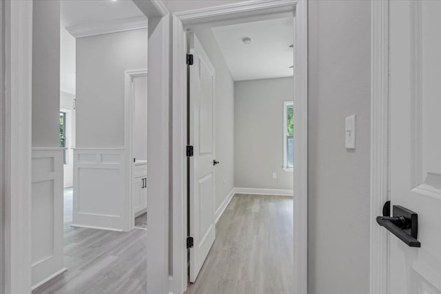 10096 Green Fountain Rd, Tallahassee, FL 32305 - hall featuring light wood-style flooring, plenty of natural light, ornamental molding, and wainscoting
