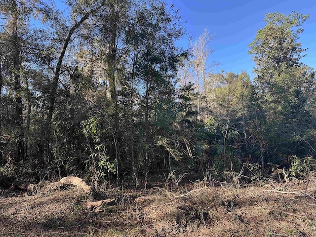 LOT58 Iroquois Rd, Crawfordville FL, 32327 land for sale