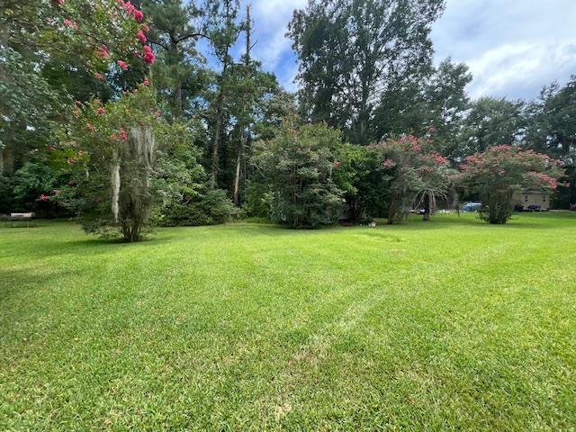 225 China Doll Dr, Tallahassee, FL 32312 - photo 4