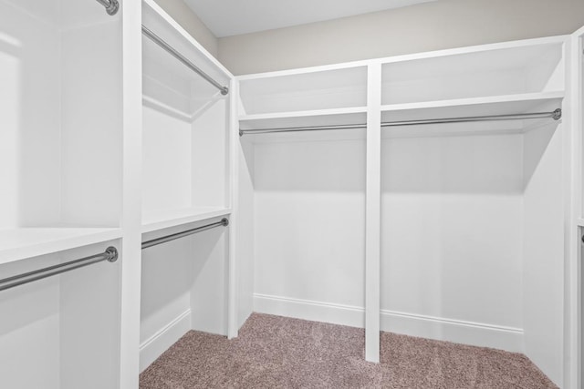 spacious closet with carpet floors