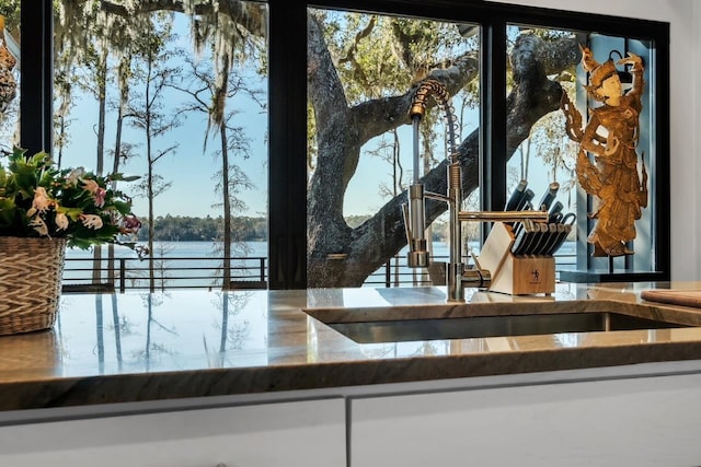 room details with a water view and sink