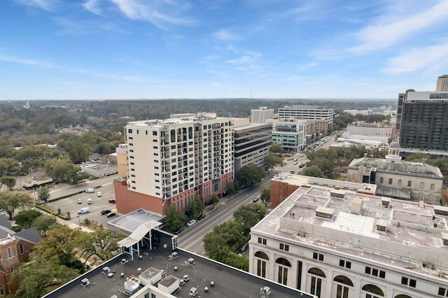 121 N Monroe St Unit 1207, Tallahassee, FL 32301 - view of urban area