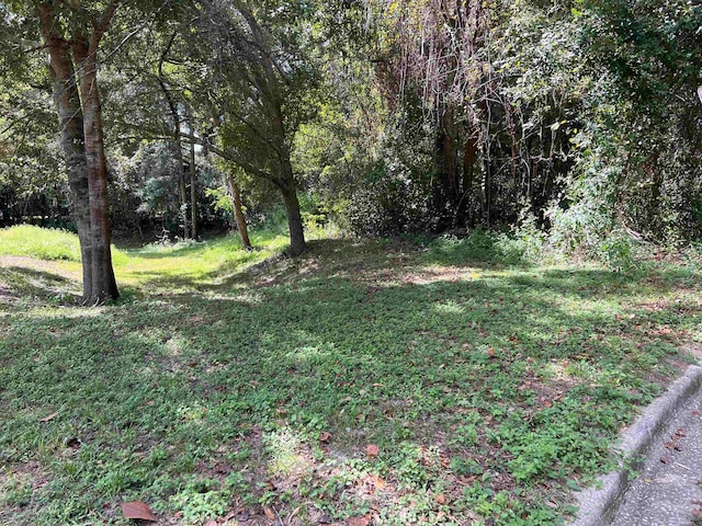 0 Junwin Ct, Tallahassee FL, 32308 land for sale