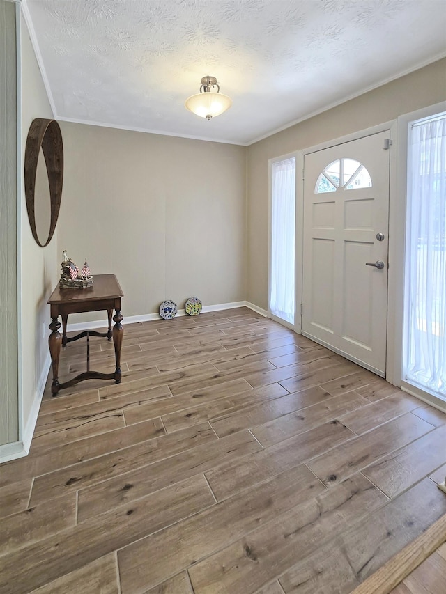 foyer featuring a textured ceiling, light hardwood / wood-style flooring, and a healthy amount of sunlight