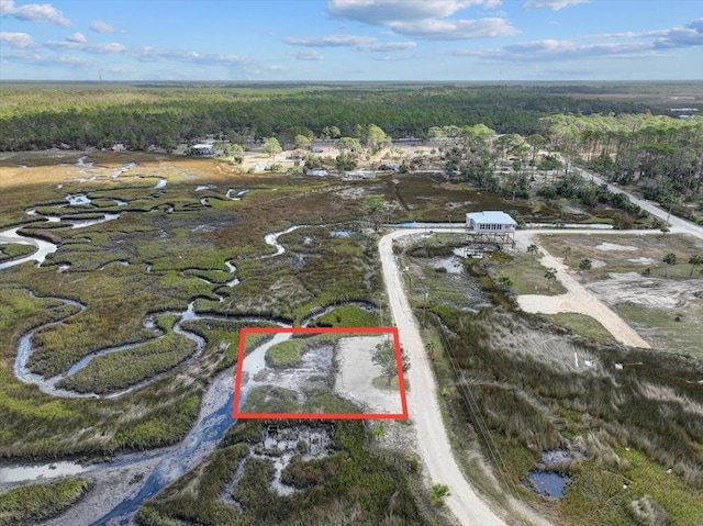 1635 Ezell Beach Cir, Perry FL, 32348 land for sale