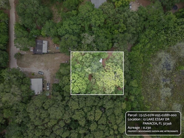 12 Lake Essay Dr, Panacea, FL 32346 - aerial overview of property's location with property boundaries highlighted