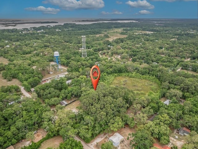 12 Lake Essay Dr, Panacea, FL 32346 - bird's eye view of a forest