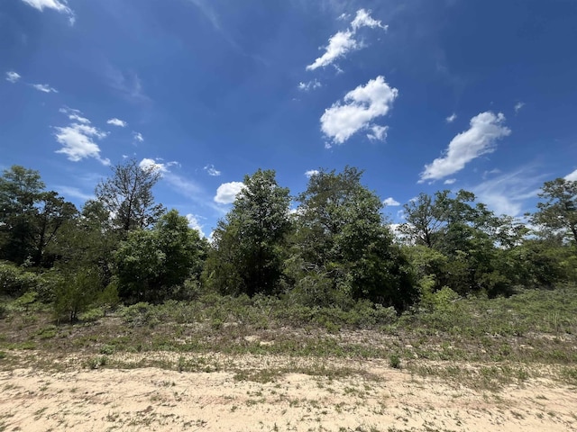 Magnolia Ln, Marianna, FL 32448 - photo 1