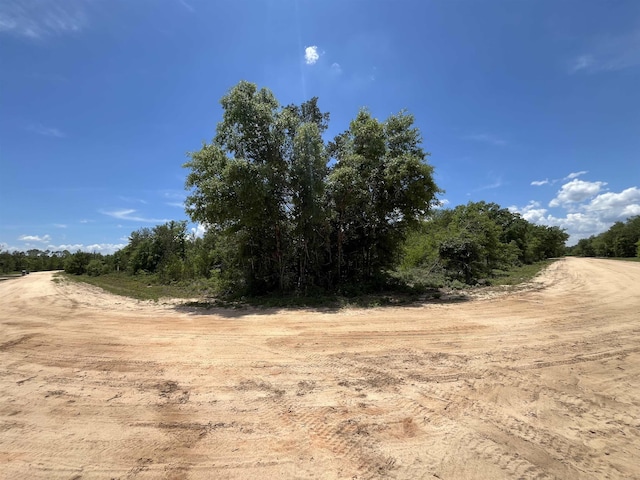Magnolia Ln, Marianna, FL 32448 - photo 11