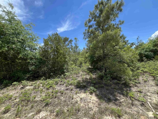 Magnolia Ln, Marianna, FL 32448 - photo 13
