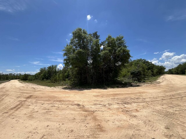 Magnolia Ln, Marianna, FL 32448 - photo 9