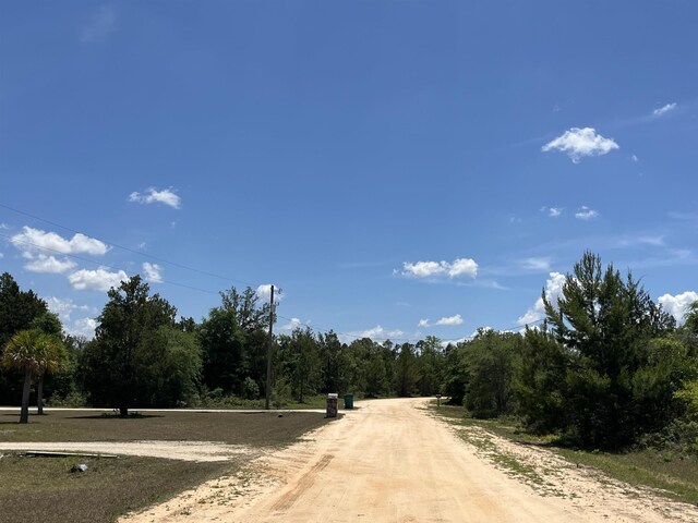 Magnolia Ln, Marianna, FL 32448 - photo 4