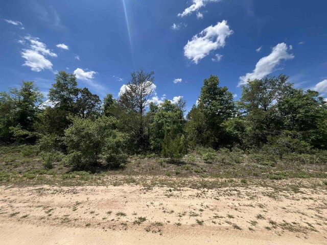 Magnolia Ln, Marianna, FL 32448 - photo 5